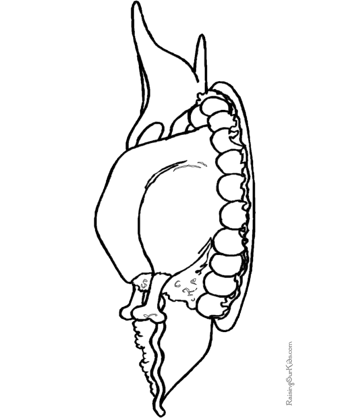 Thanksgiving dinner coloring pages