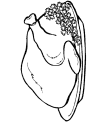 Pilgrim coloring pages