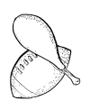 Thanksgiving Day coloring pages