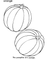 Free Thanksgiving coloring pages to print