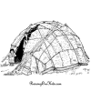 American Indians Thanksgiving coloring pages