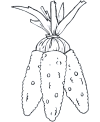 Child coloring book pages