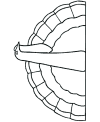 Turkey coloring pages