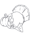 Turkey coloring pictures