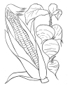 Free coloring sheets
